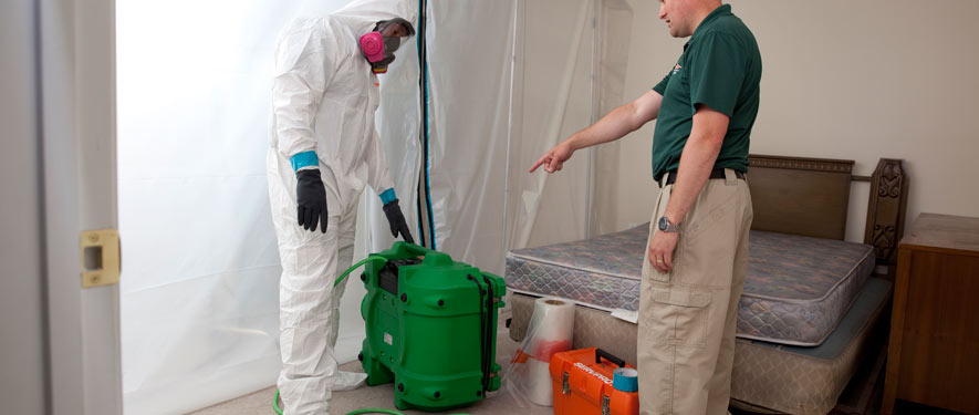 San Tan Valley, AZ mold removal process